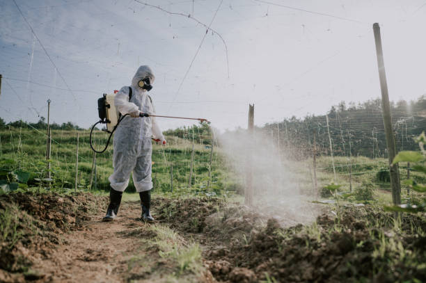 Best Pest Prevention Services  in Platteville, CO