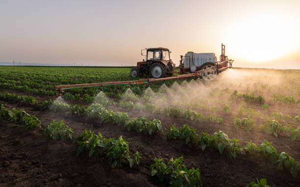 Insect Control in Platteville, CO