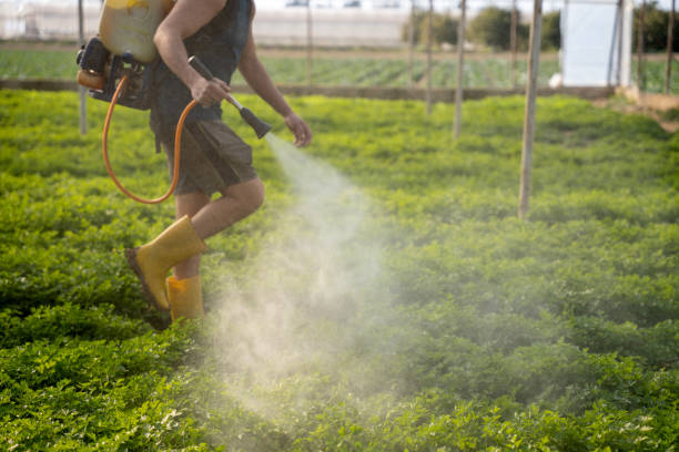 Best Wildlife Control Services  in Platteville, CO