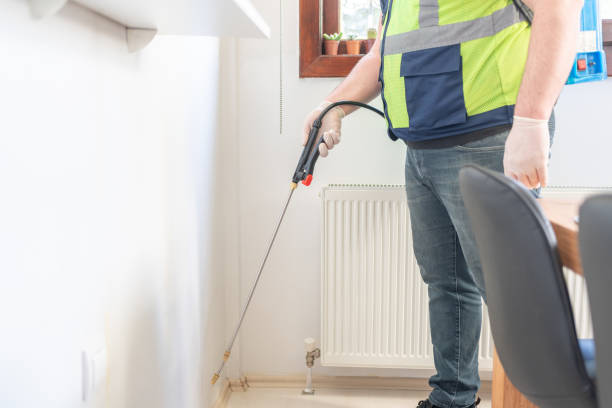 Best Flea Control Services  in Platteville, CO