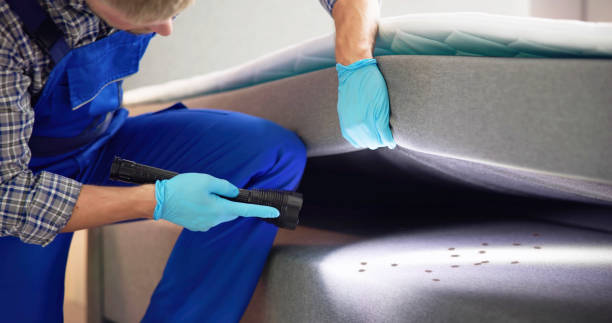 Best Pest Removal Services  in Platteville, CO