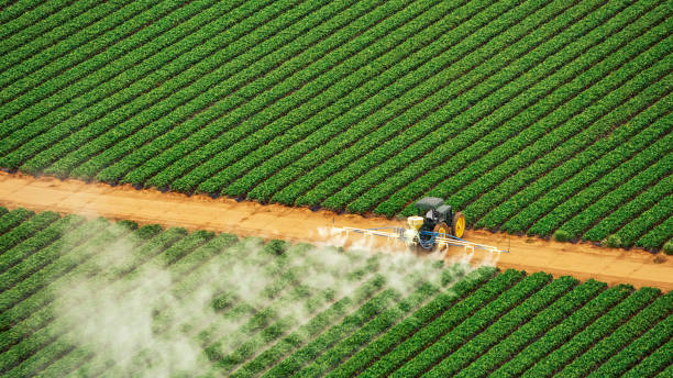 Best Best Pest Control Companies  in Platteville, CO